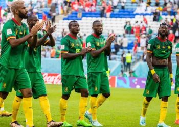 Les Lions indomptables