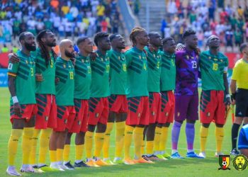 Les Lions indomptables