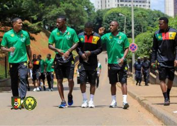 Les Lions indomptables