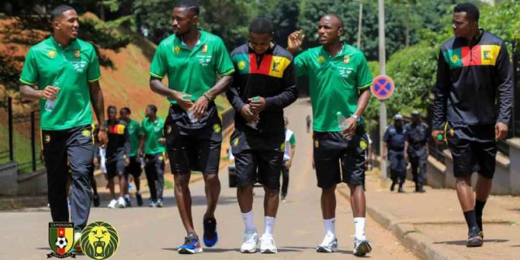 Les Lions indomptables