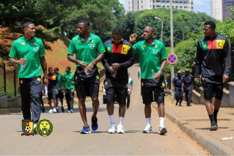 Les Lions indomptables