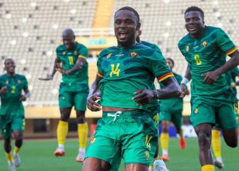 Les Lions indomptables