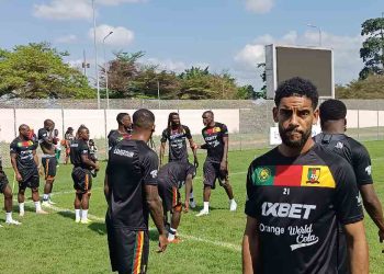 Les Lions indomptables