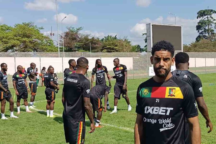 Les Lions indomptables