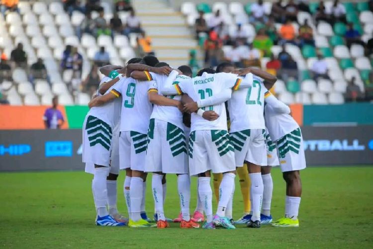 Les Lions Indomptables