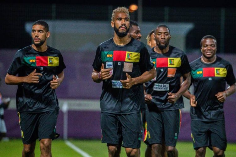 Les Lions Indomptables