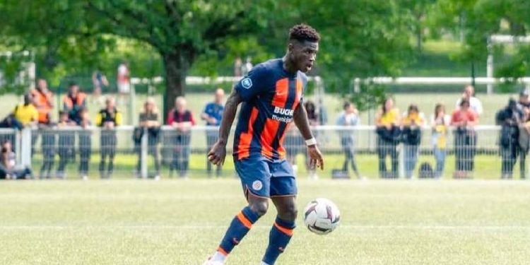 Wilfried Ndollo Bille