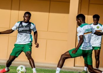 Les Lions Indomptables