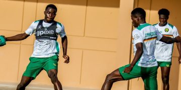 Les Lions Indomptables