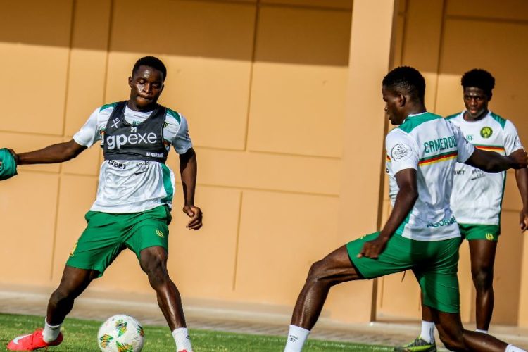 Les Lions Indomptables