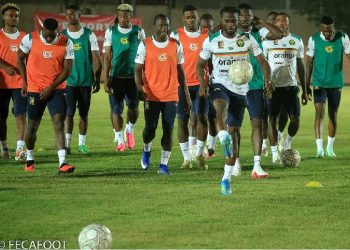 Les Lions Indomptables