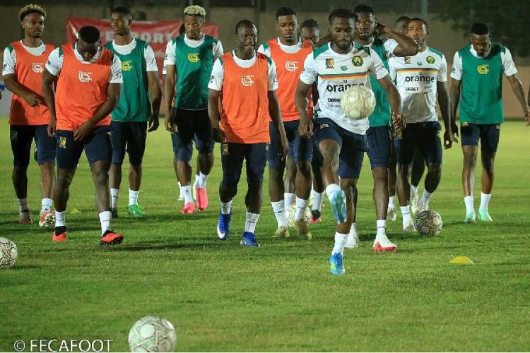 Les Lions Indomptables