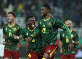 Les Lions Indomptables